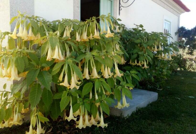 צימר Casa Da Pergula