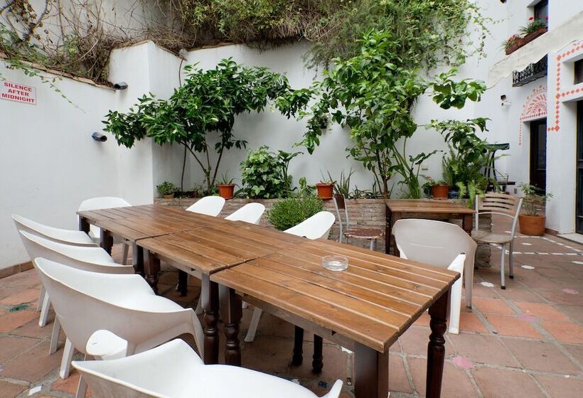 Oasis Backpackers  Hostel Granada