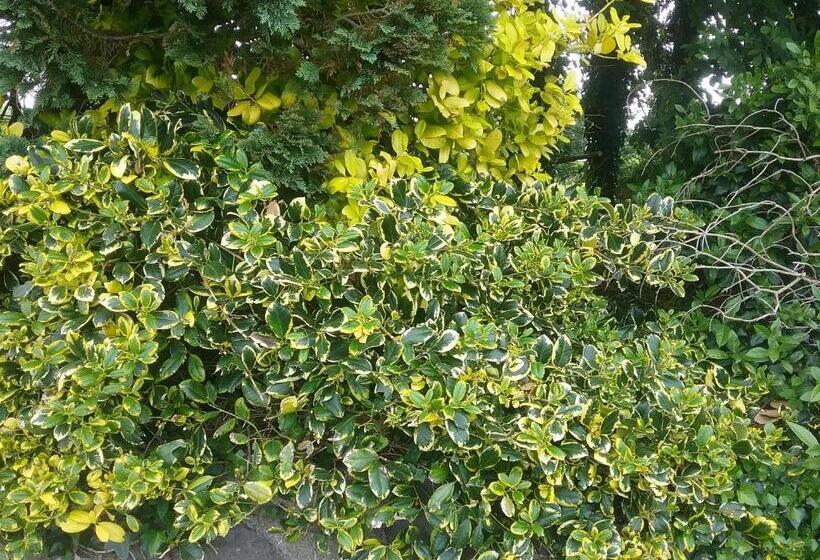 Rocksberry Bed & Breakfast