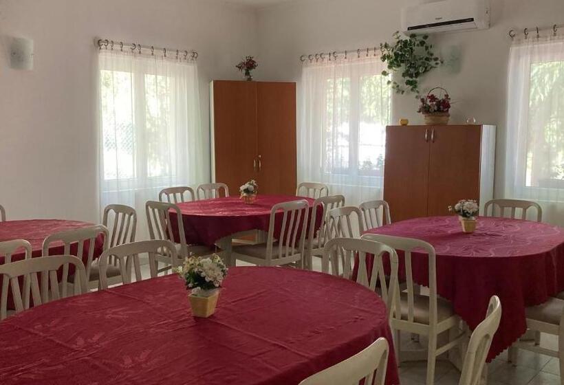 Bed and Breakfast Salvus Panzió