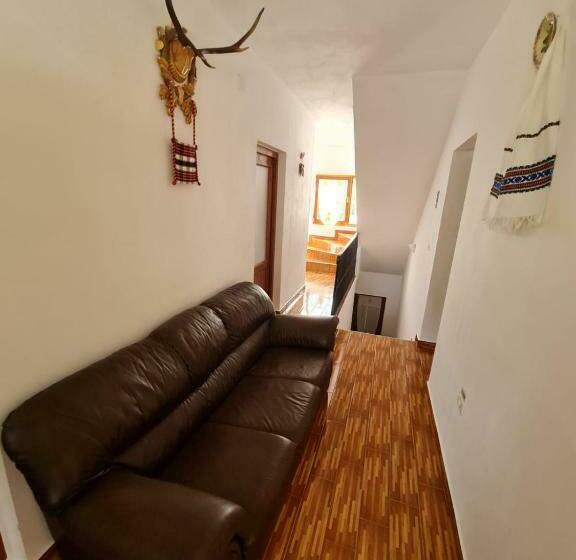 膳宿费 Cazare Luxandra