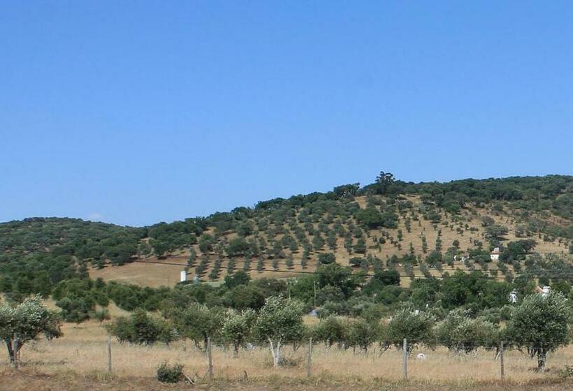 פנסיון Girassol Alojamento Local