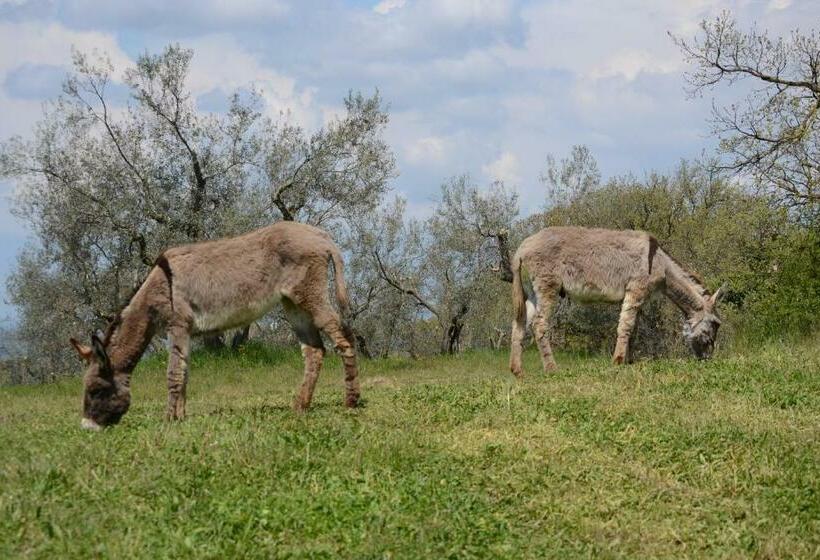 ホテル Agriturismo La Lampada Di Atena