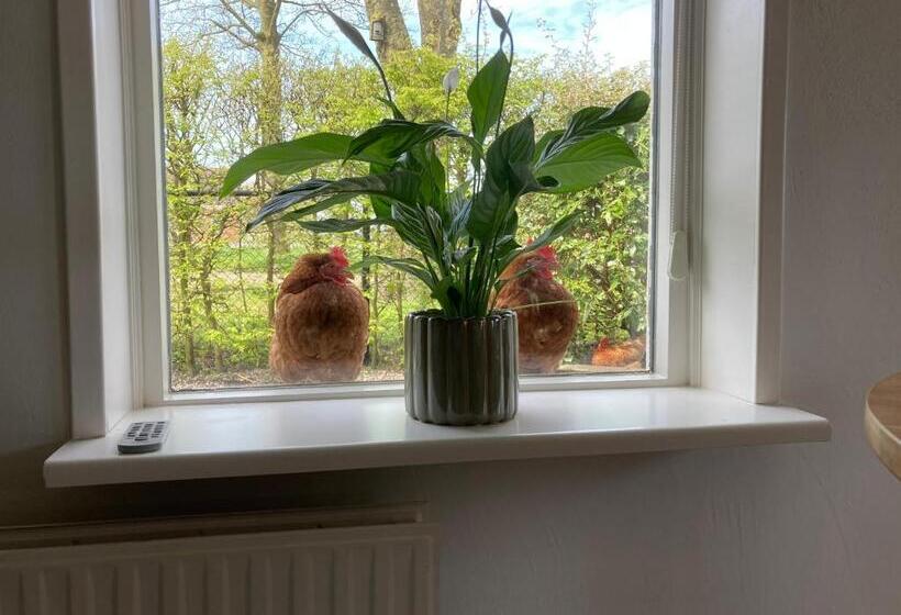 ベッドアンドブレックファースト Appartement Greidesicht Kollumerpomp