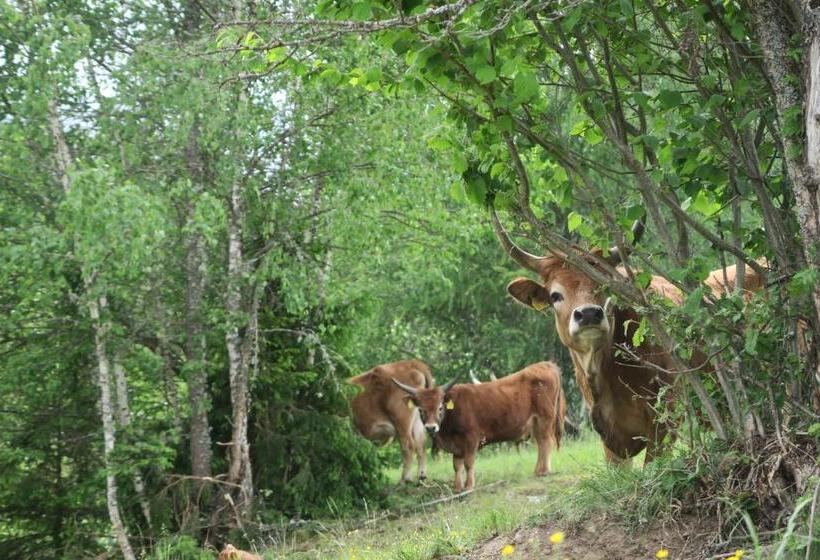 Отель Graslandhof