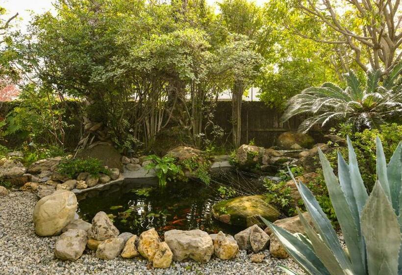 פנסיון Beautiful Airy Architectdesigned Room And Brand New Private Luxe Bathroom