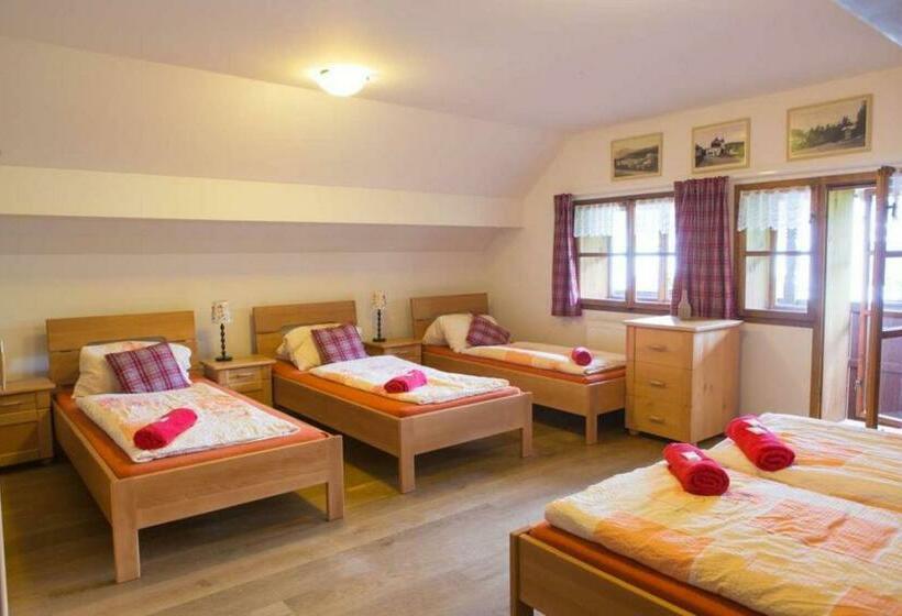 ペンション Penzion U Zlomené Lyže