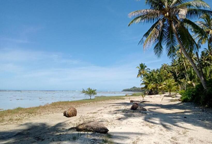 پانسیون Yohanes Guest House Sorake Surf Nias