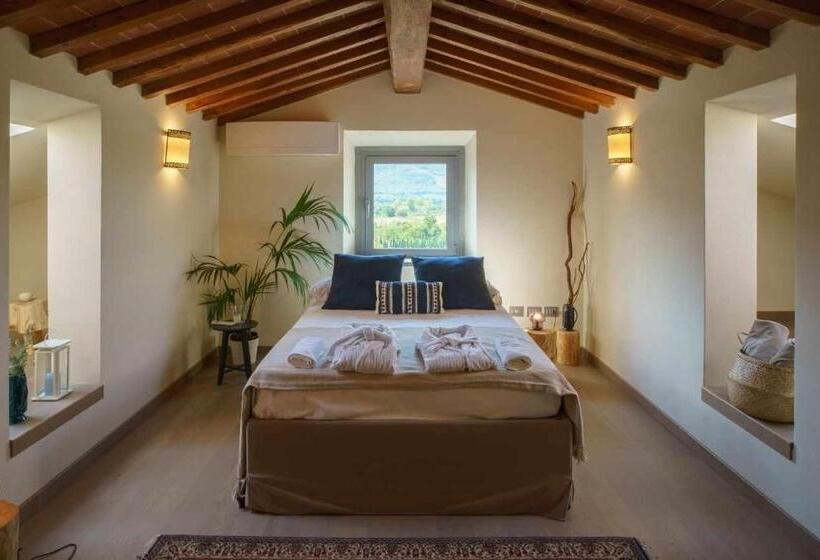 ベッドアンドブレックファースト Alba Morus Bed E Breakfast Sentiti A Casa Nel Cuore Della Toscana