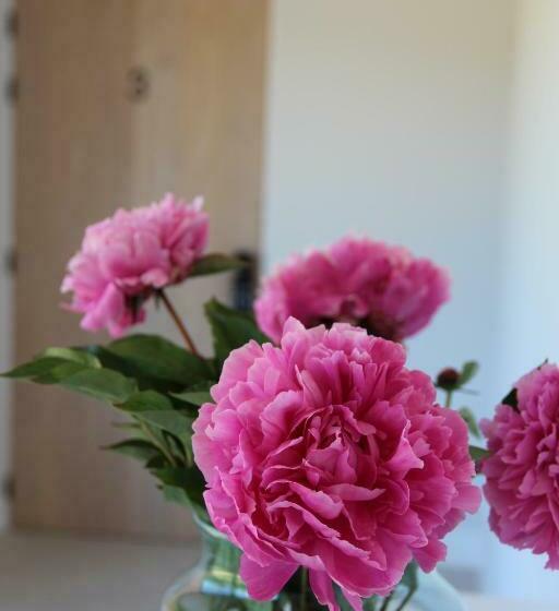 B&b Biesvenhof