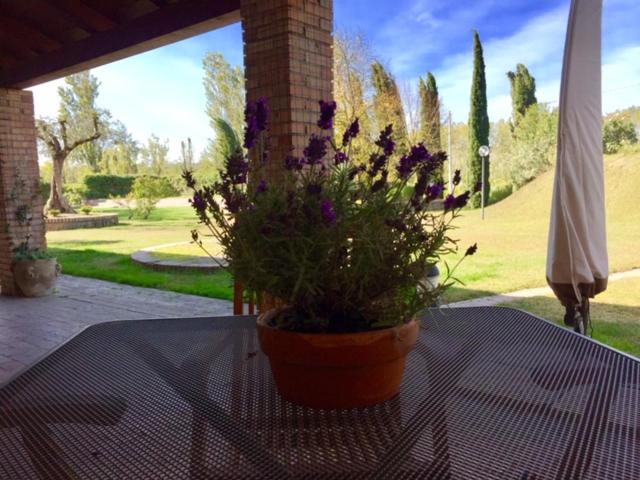 민박 Giunti Agriturismo & Camere