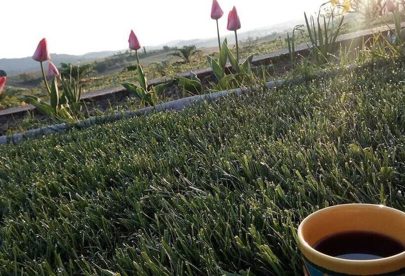 ベッドアンドブレックファースト La Vigneronne