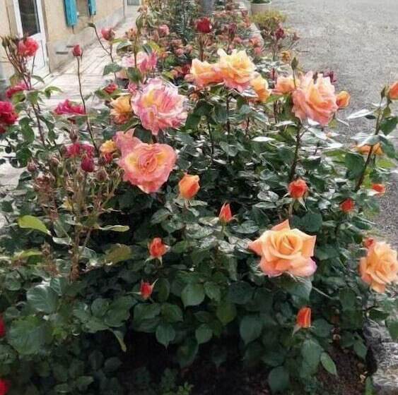 ベッドアンドブレックファースト La Vigneronne