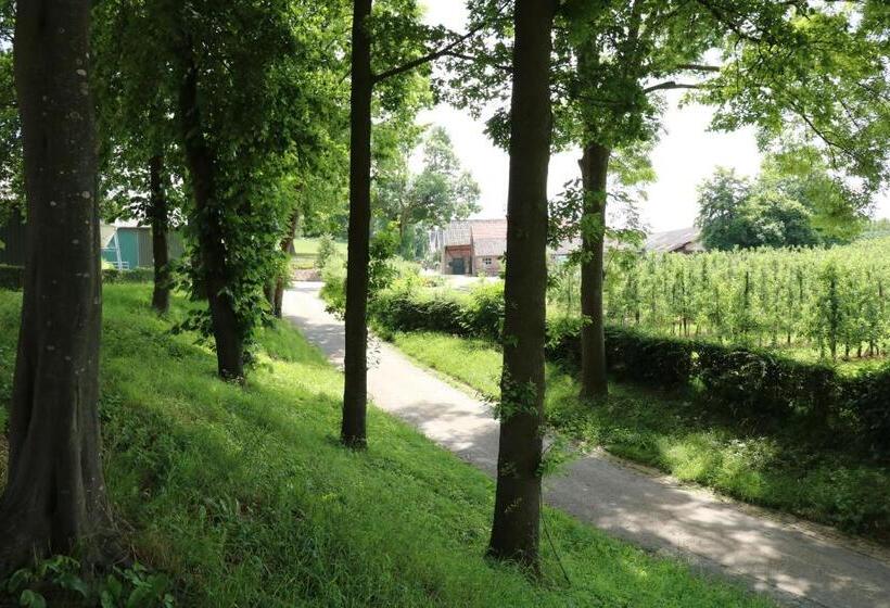 Luxe B&b Vroelen Noorbeek