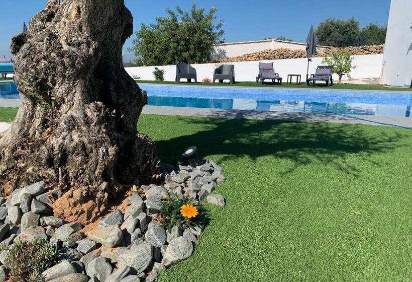 بنسيون Quinta Ria Formosa