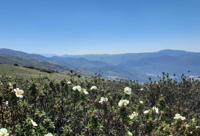 צימר Alpujarra Guesthouse, Habitaciones En Un Cortijo Sostenible Y Aislado En Medio De La Nada En Parque