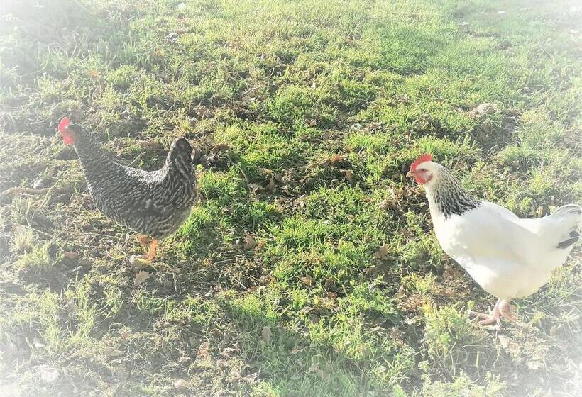 צימר Domaine De Gaïa, Piscine, Pétanque, Ping Pong, Proche Saint Emilion