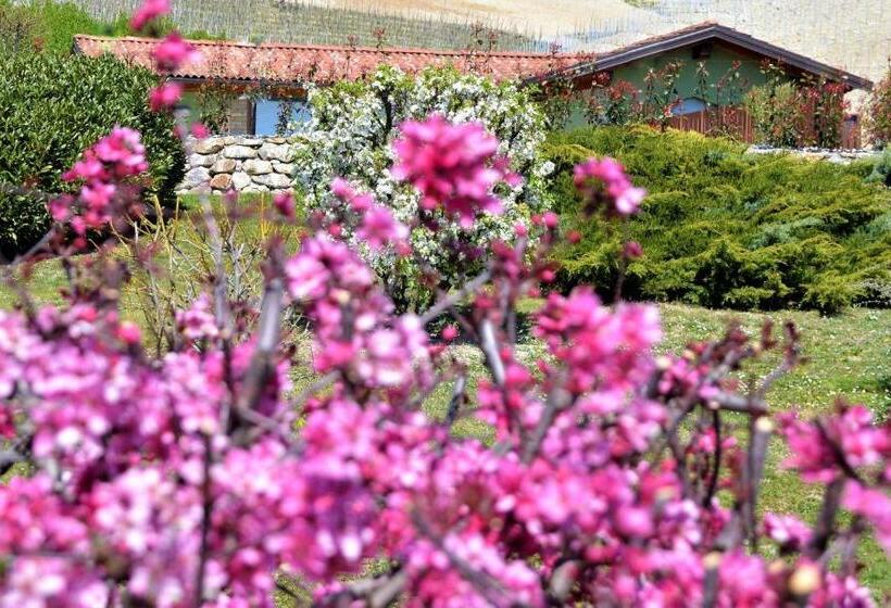 住宿加早餐  Il Casotto Nelle Langhe