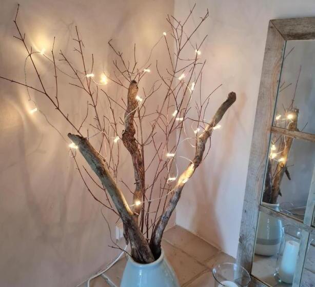 Bed and Breakfast Maison Des Bourgades