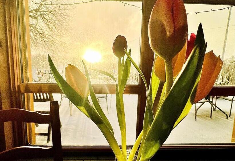 فندق Hôtel Restaurant Les Cernets Swiss Lodge Ssh