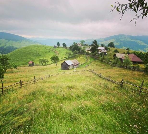 ペンション Casa Agroturistica Tarancuta Din Vatra Moldovitei