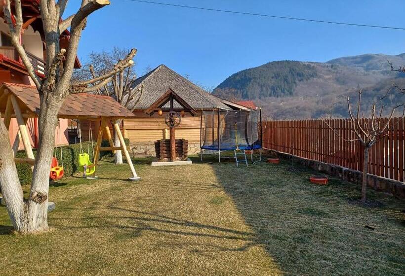 پانسیون Casa Dintre Munti Karina