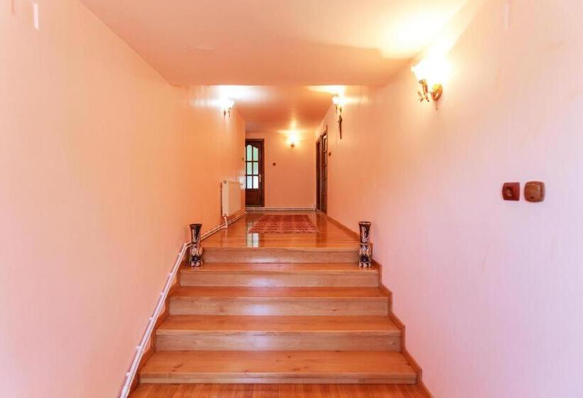 پانسیون Casa Dintre Munti Karina