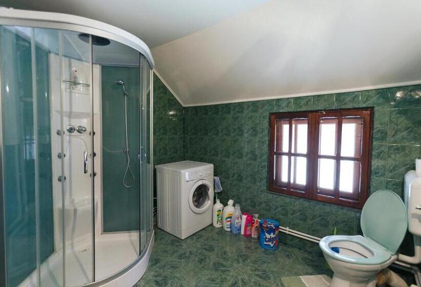 پانسیون Casa Dintre Munti Karina