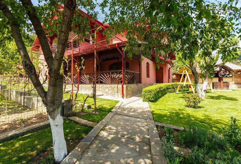 پانسیون Casa Dintre Munti Karina