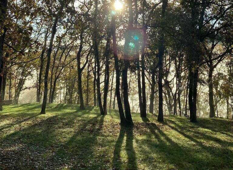 膳宿费 Maison D’hôte Les Grands Chênes