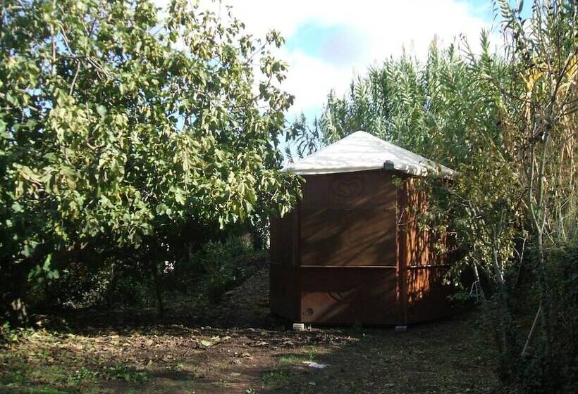 Bed and Breakfast Su Ghindalu Guesthouse