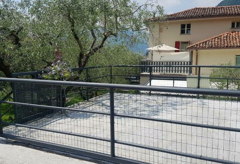 B&b Forsesiforseno