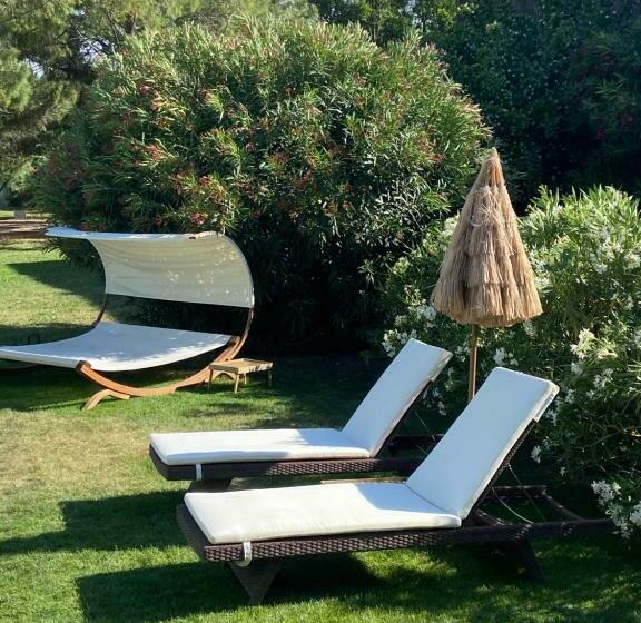 ベッドアンドブレックファースト Le Patio, Chambres D Hôtes Pour Adultes En Camargue, Possibilité De Naturisme à La Piscine
