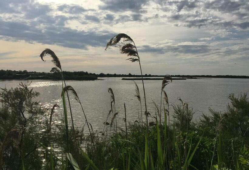 مبيت وإفطار Le Teich Tranquille