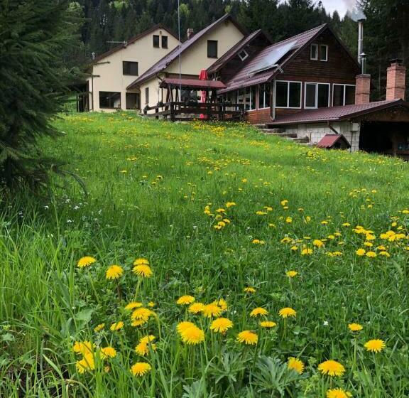 Pensiunea Zorile Tarcaului