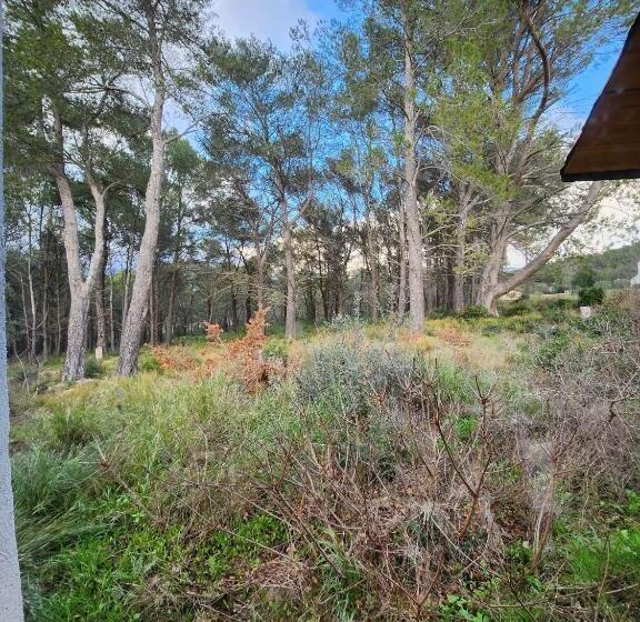 مبيت وإفطار A L Orée Des Pins   Gite Et Spa De 30 M2  Home Cinéma Et Massage En Sup