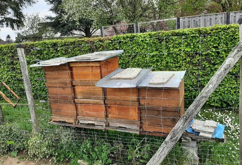 민박 Haus   Pantenburg