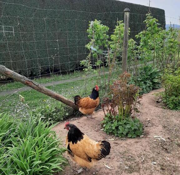 민박 Haus   Pantenburg