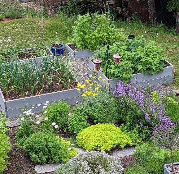 مبيت وإفطار Maple Rise Guesthouse