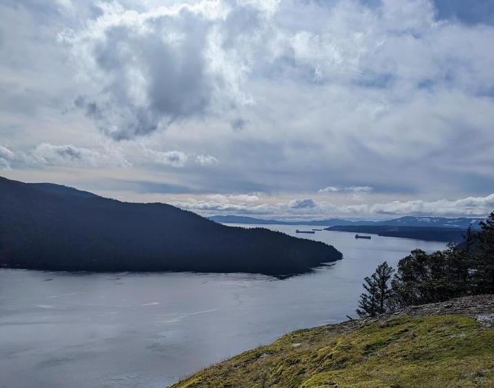 مبيت وإفطار Maple Rise Guesthouse