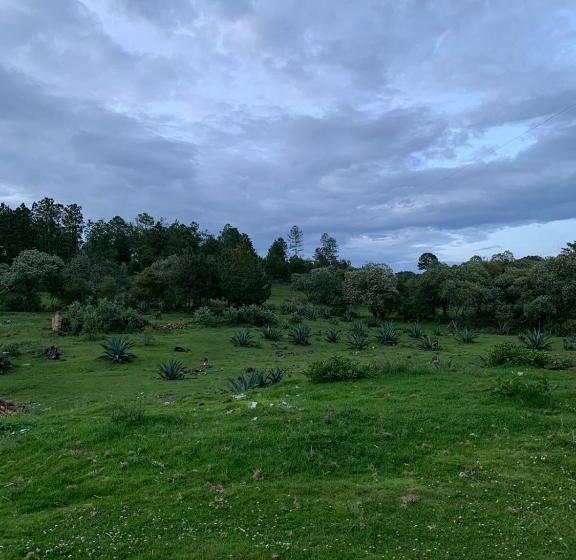 هتل Antigua Hacienda Metepec