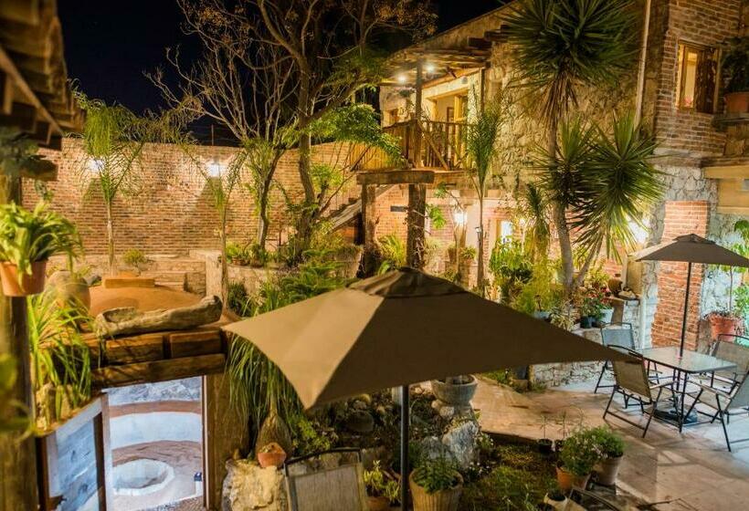 فندق Colibri