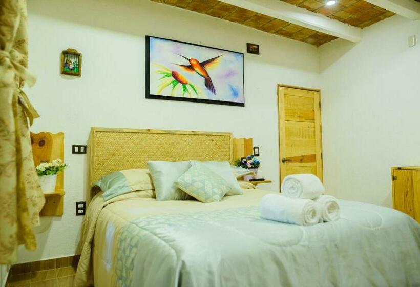 فندق Colibri