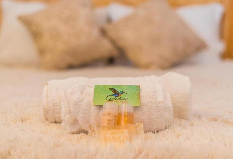 فندق Colibri