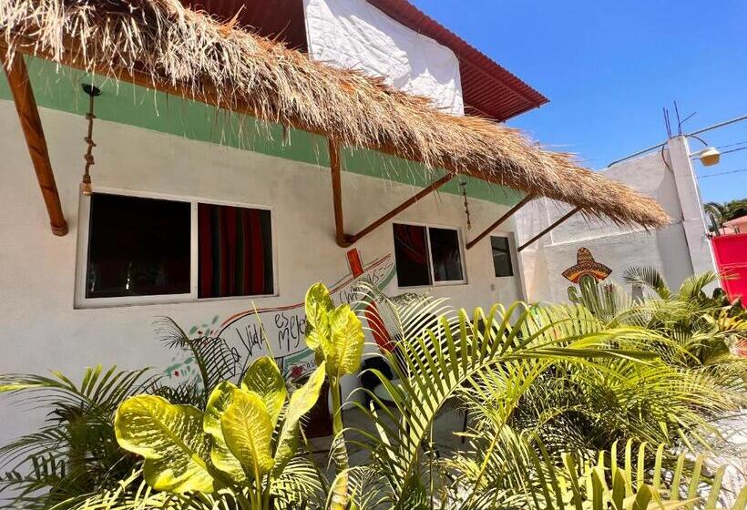 پانسیون Casa Kokoná