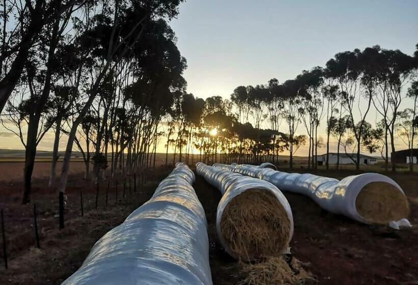 פנסיון Oorvloed Guesthouse