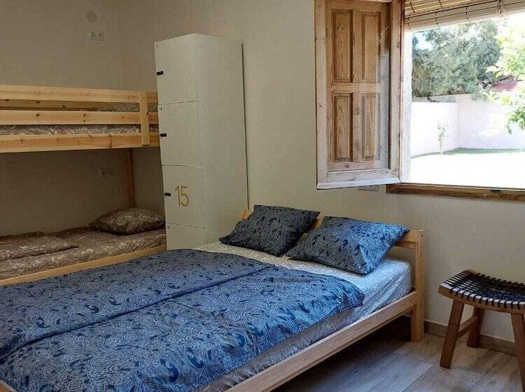 Zenia Hostel
