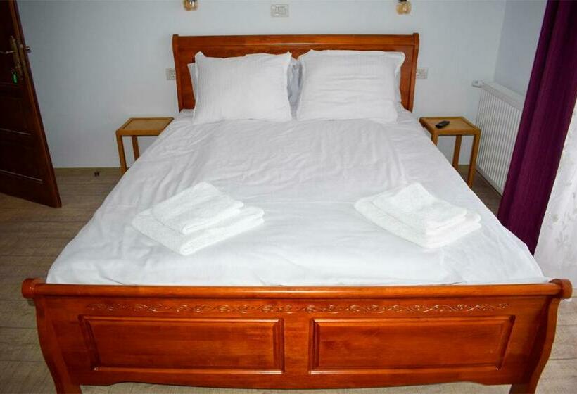 بنسيون Casa Traistau