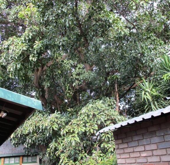 ペンション Lutea Guest House