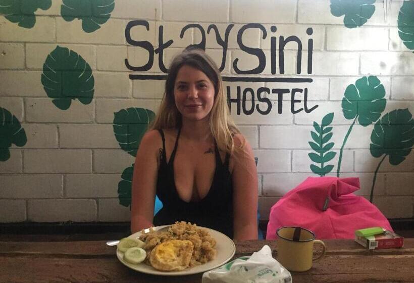 Owl Hostel Karimunjawa